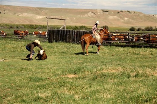 Ridin' and Robin,' Grant-Kors Ranch