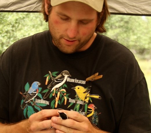 Bird banding, Grant-Kohrs Ranch