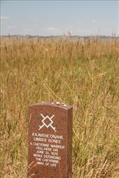 Where one of the Sioux warriors fell, Little Bighorn Battlefield: by vagabonds3, Views[207]