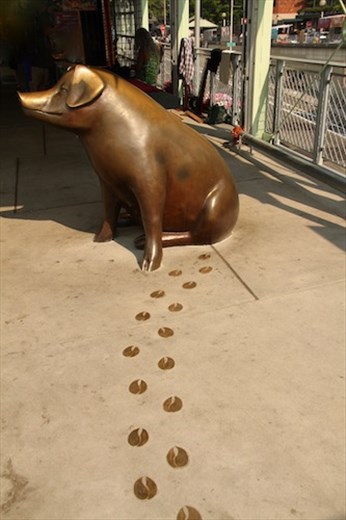 One of hundreds of pig sculpturest, Seattle