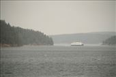 Ferry to Friday Harbor on a smokey day: by vagabonds3, Views[458]