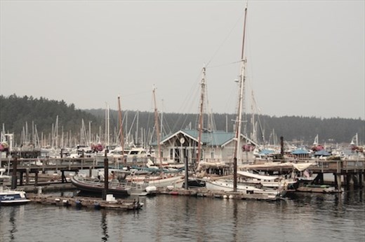 Friday Harbor