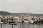 Friday Harbor: by vagabonds3, Views[833]