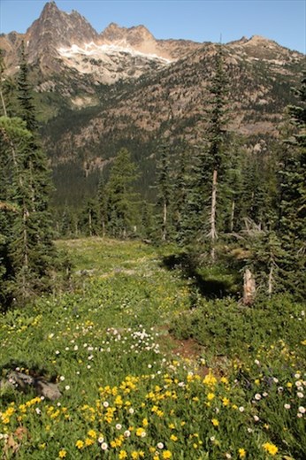 North Cascade NP