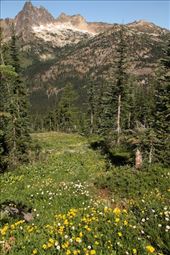 North Cascade NP: by vagabonds3, Views[358]