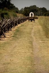 Wagon on the Oregon Trail, Whitman Mission NHS: by vagabonds3, Views[446]
