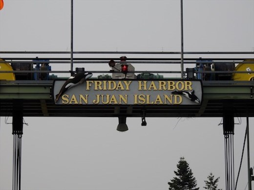 Welcome to Friday Harbor
