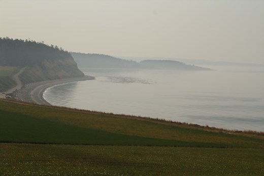 Beach at Whidby Island