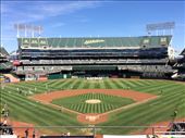 Oakland Coliseum, casa de los A's: by vagabonds3, Views[352]