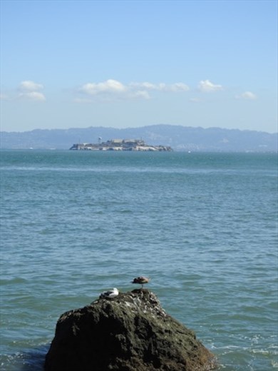 Alcatraz from Fort Point
