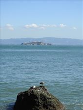 Alcatraz from Fort Point: by vagabonds3, Views[403]