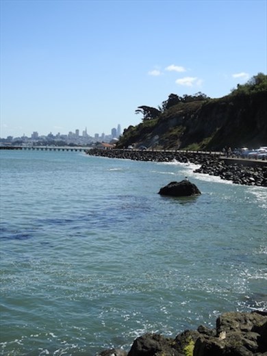 San Francisco from the bridge
