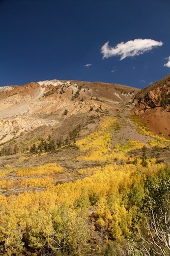 Autumn comes to the Sierras