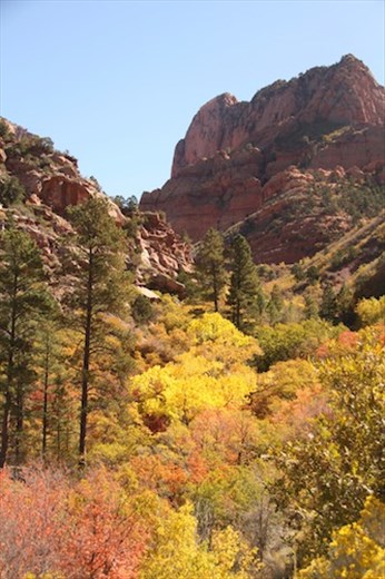 Fall colors Kolob Canyon