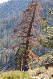 Connie on Mammoth Rock Trail: by vagabonds3, Views[436]