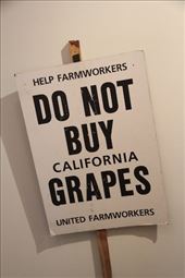 Picket sign from '65 grape boycott: by vagabonds3, Views[526]