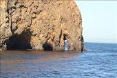 Santa Cruz sea caves, Channel Islands NP: by vagabonds3, Views[344]