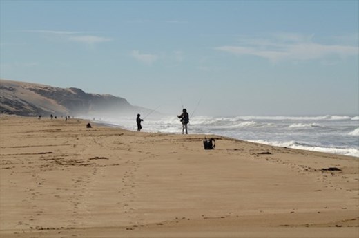 Rancho Guadalupe Dunes State Park