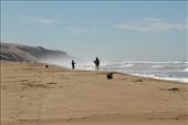 Rancho Guadalupe Dunes State Park: by vagabonds3, Views[350]