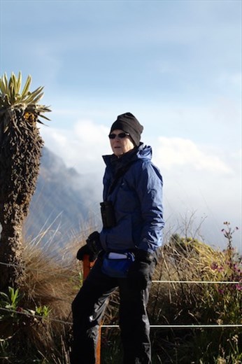 Connie at 13,000 feet, Los Nevados National Park