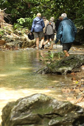 Treking to the oilbird cave