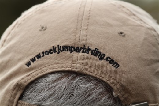 Rock Jumper Birding Tours