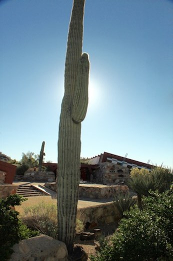Blending with Nature, Taliesen West