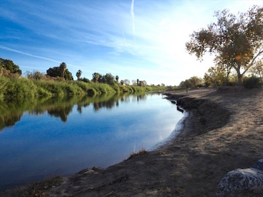 Colorado River, East Wetlands Park, Yuma