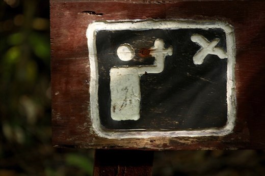 Birdwatching Permitted