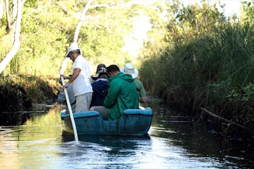 Birding from Boats