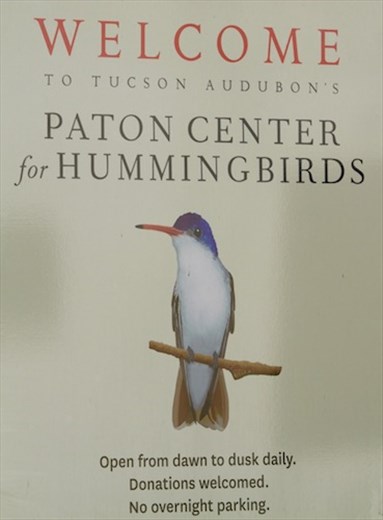 Patton Audubon Center for Hummingbirds