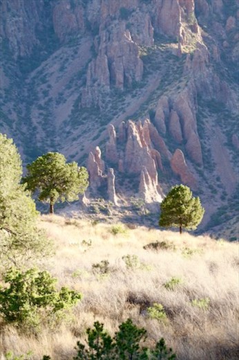 Big Bend National Park