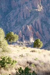 Big Bend National Park: by vagabonds3, Views[349]