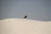 White Sands National Monument: by vagabonds3, Views[198]