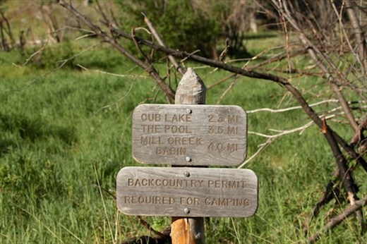 Cub Lake trailhead, RMNP