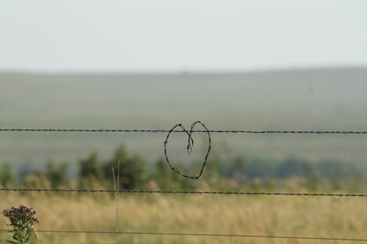 Barbwire heart, Tallgrass Prairie National Preserve