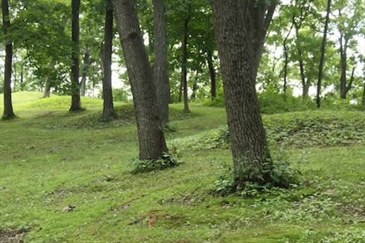 Fire Point Mounds, Effigy Mounds NM