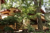 There goes the neighborhood, FLW Oak Park designed home: by vagabonds3, Views[353]