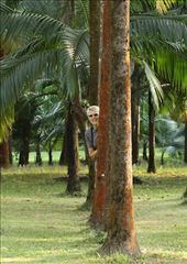 Connie being cute: by vagabonds3, Views[325]