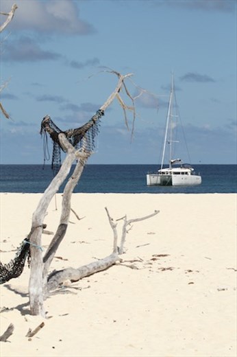 Cousin Island, Seychelles