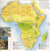 On Safari: by vagabonds3, Views[1153]