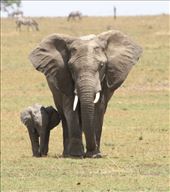 Tons of fun: by vagabonds3, Views[611]