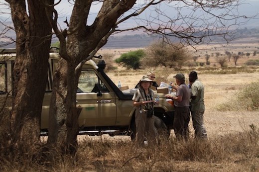 Lunch stop — but look out for lions!