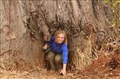 Andrea at the Poacher's Hide, Tarangire NP: by vagabonds3, Views[120]