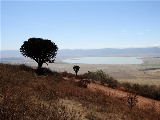 Panorama of Ngorongoro Crater