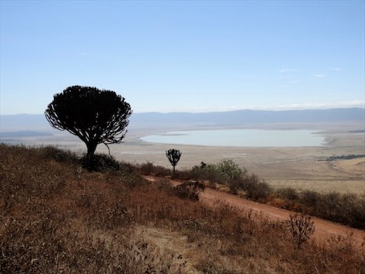 Looking into Ngorongoro Crater
