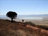 Looking into Ngorongoro Crater: by vagabonds3, Views[113]