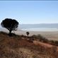 Looking into Ngorongoro Crater Views[117]