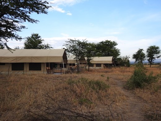 Safari camp in the Serengeti