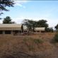 Safari camp in the Serengeti Views[124]